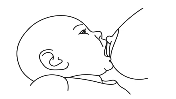 Грудне вигодовування перше прикладання